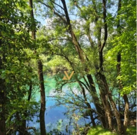 Plac 13.000 m² – Bjelopavlići, Danilovgrad — fotografija 4