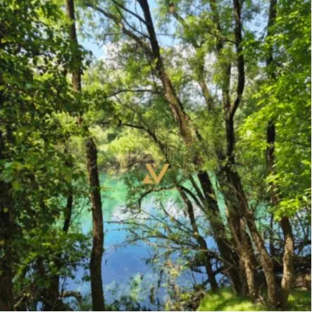 Plac 13.000 m² – Bjelopavlići, Danilovgrad — fotografija 4