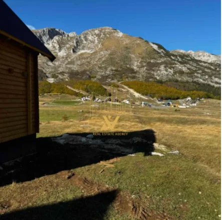 Motički Gaj – Žabljak