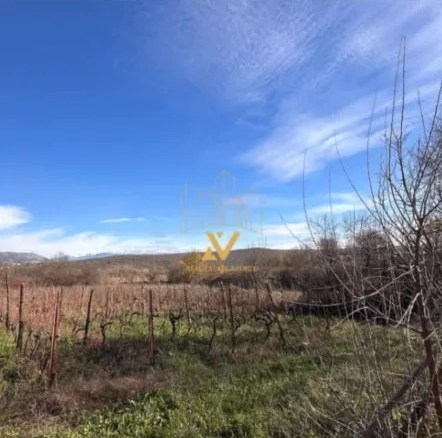 Plac 7.000 m² – Podgorica — fotografija 2