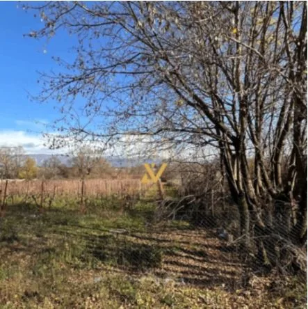 Zemljiste-–-Podgorica-2 Plac 7.000 m² – Podgorica — fotografija 3