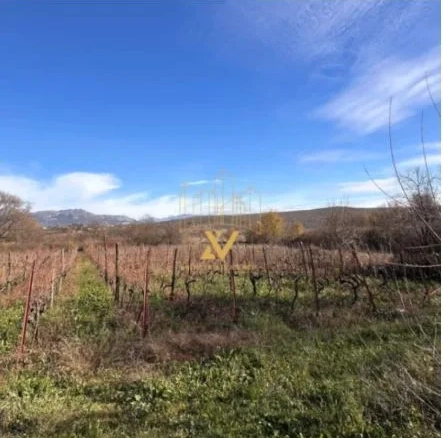 Plac 7.000 m² – Podgorica — fotografija 4