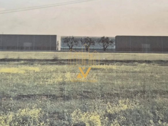 Plac 3.687 m² – Dajbabe, Podgorica — fotografija 7