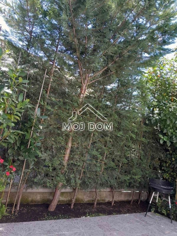 Trosoban-stan-sa-bastom-u-naselju-Konik-Podgorica-5 Trosoban stan 48 m² – Konik, Podgorica — fotografija 6