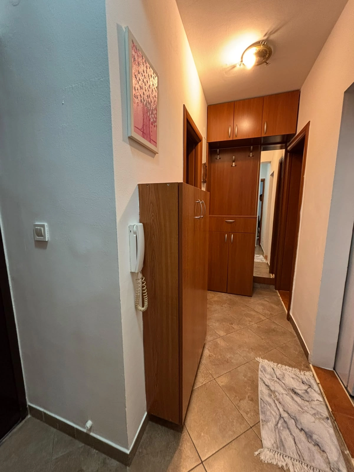 Namjesten-jednosoban-stan-u-Zagoricu-Podgorica-8 Jednosoban stan 45 m² – Zagorič, Podgorica — fotografija 9