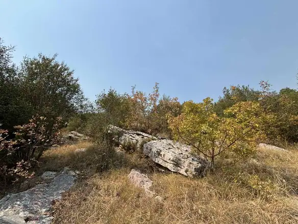 Plac 7.331 m² – Farmaci, Podgorica — fotografija 6