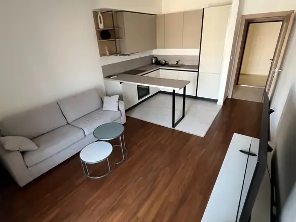 Izdavanje: Dvosoban stan 69 m² – Master kvart, Podgorica — fotografija 3