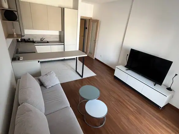 Izdavanje: Dvosoban stan 69 m² – Master kvart, Podgorica — fotografija 4