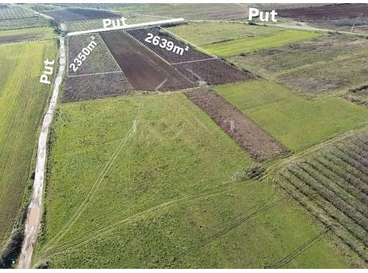 Plac-u-Mataguzima-Zeta-Podgorica-2 Plac 19.607 m² – Zeta, Podgorica — fotografija 3