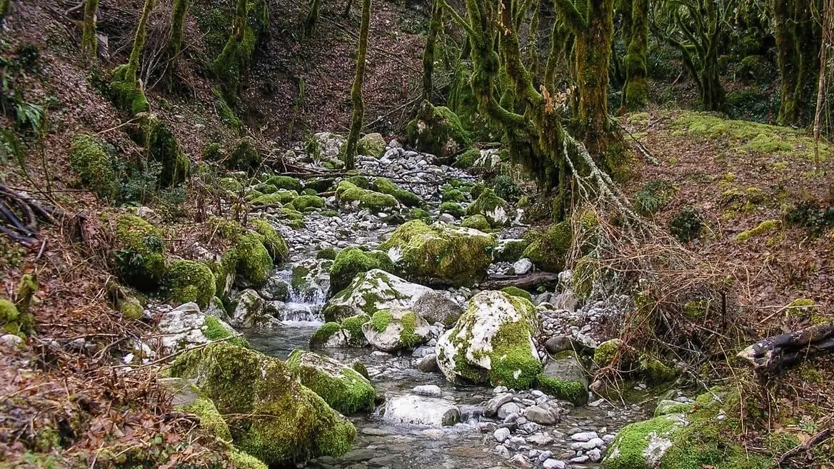Imanje-sa-starom-kucom-i-rijekama-kod-Kolasina-1 Plac 15.508 m² – Kolašin — fotografija 2