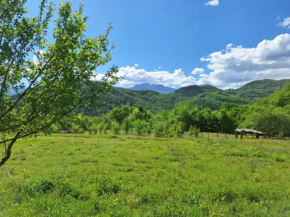 Plac 15.508 m² – Kolašin — fotografija 4