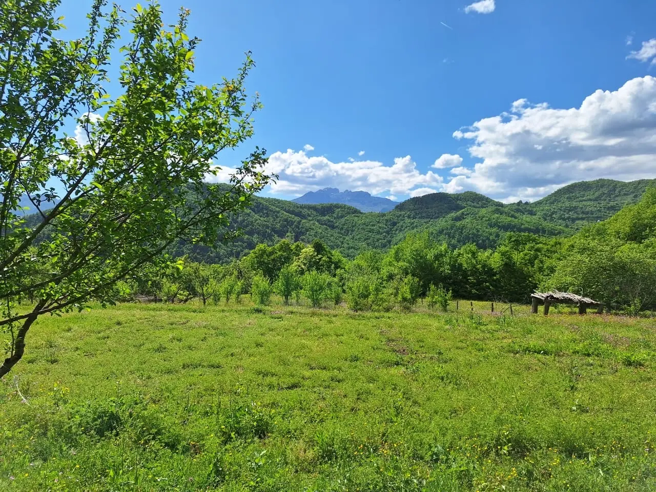 Imanje-sa-starom-kucom-i-rijekama-kod-Kolasina-3 Plac 15.508 m² – Kolašin — fotografija 4