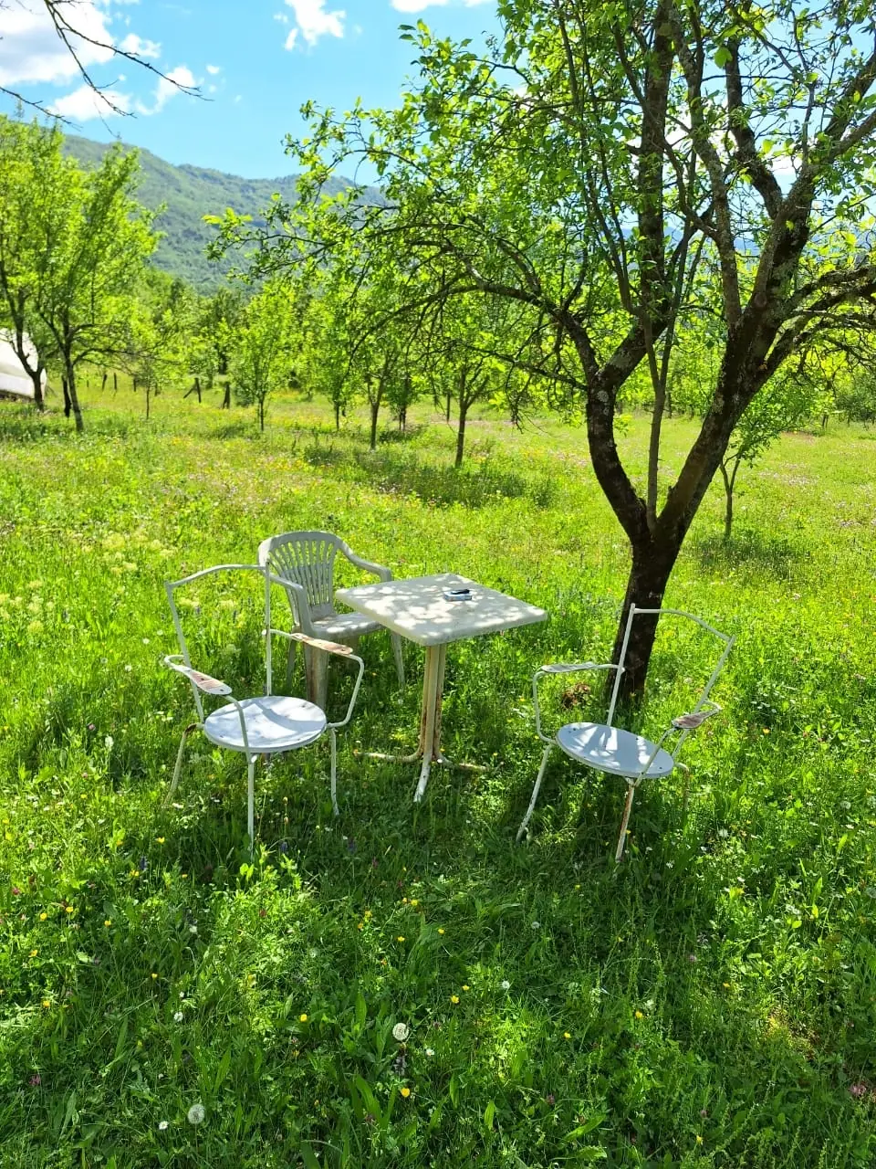 Imanje-sa-starom-kucom-i-rijekama-kod-Kolasina-4 Plac 15.508 m² – Kolašin — fotografija 5