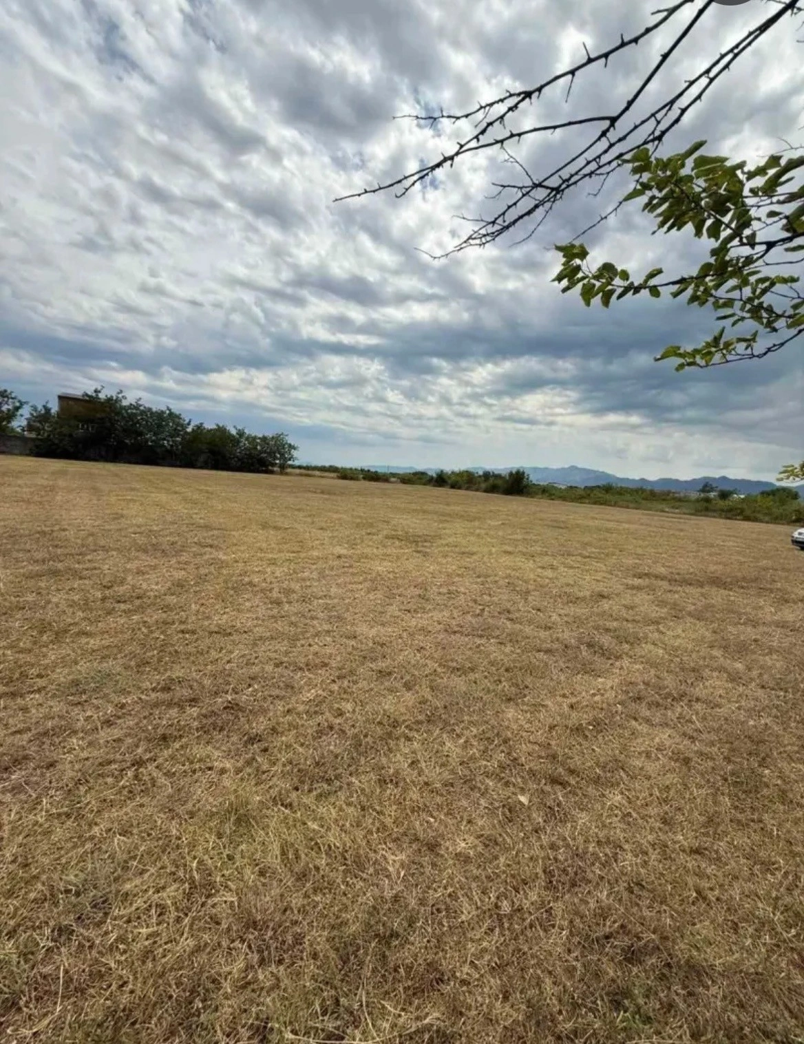 Poljoprivredni-plac-u-Zeti-Podgorica-3 Plac 4.929 m² – Zeta, Podgorica — fotografija 4