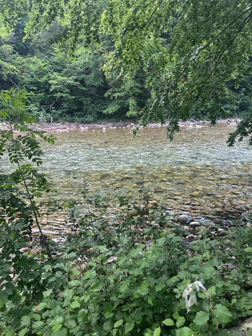 Investicioni-plac-uz-rijeku-Taru-Trebaljevo-Kolasin-7 Plac 3.239 m² – Kolašin — fotografija 8