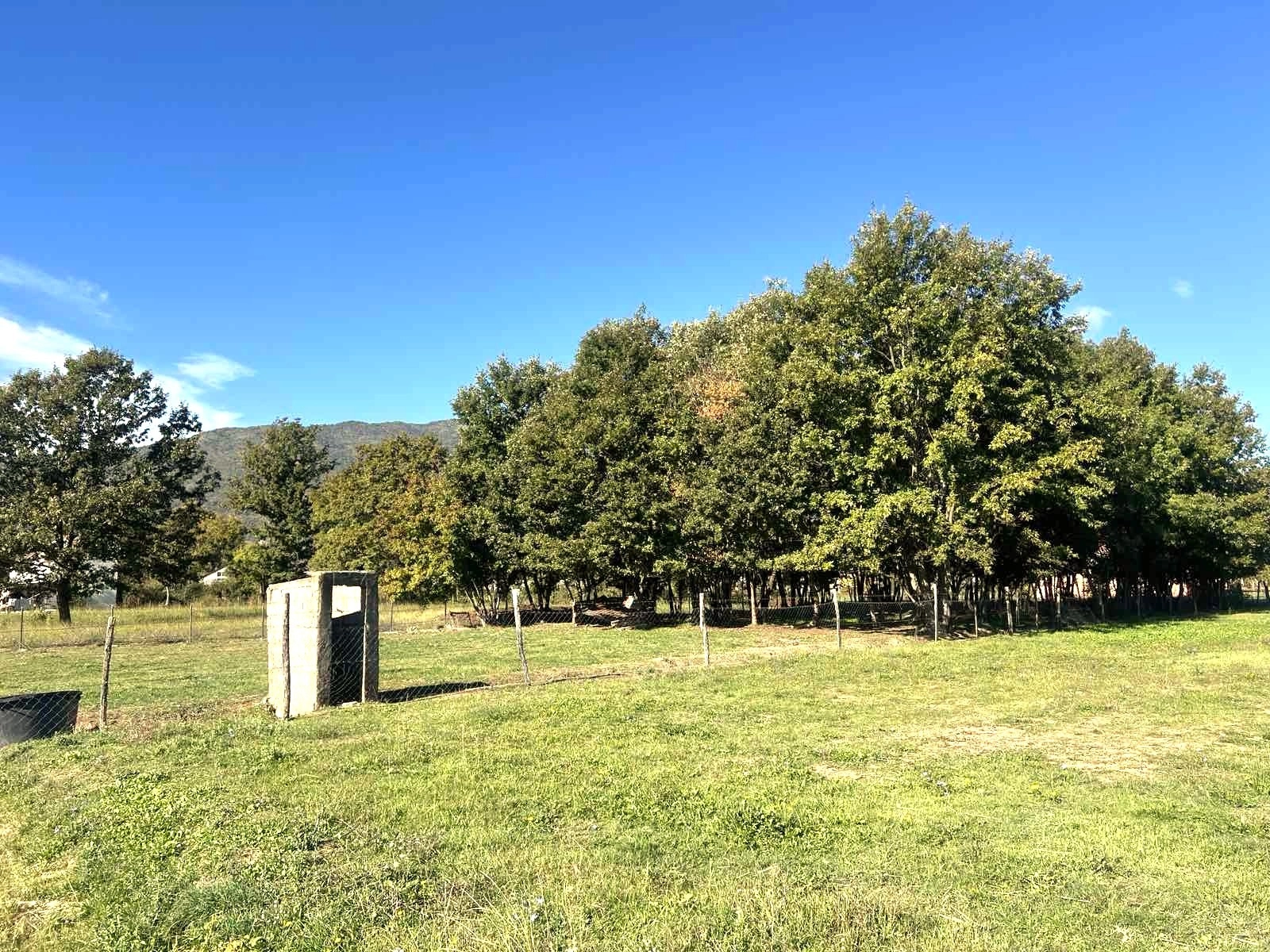 Plac 1.258 m² – Ćurilac, Danilovgrad — fotografija 2