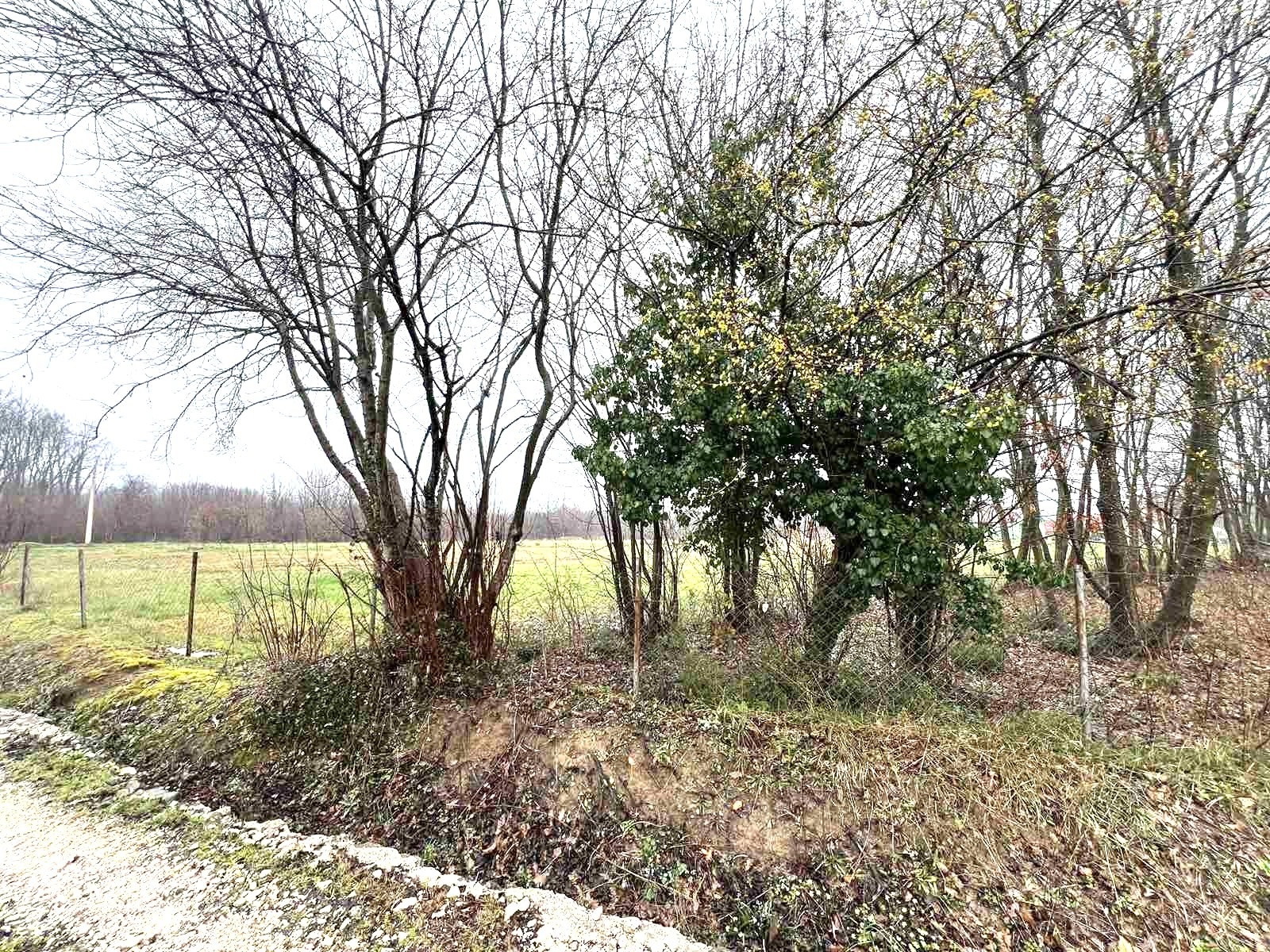Plac 1.258 m² – Ćurilac, Danilovgrad — fotografija 3