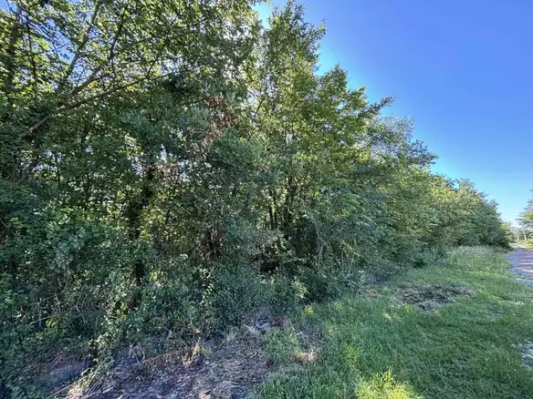 Plac 2.386 m² – Kosić, Danilovgrad — fotografija 2
