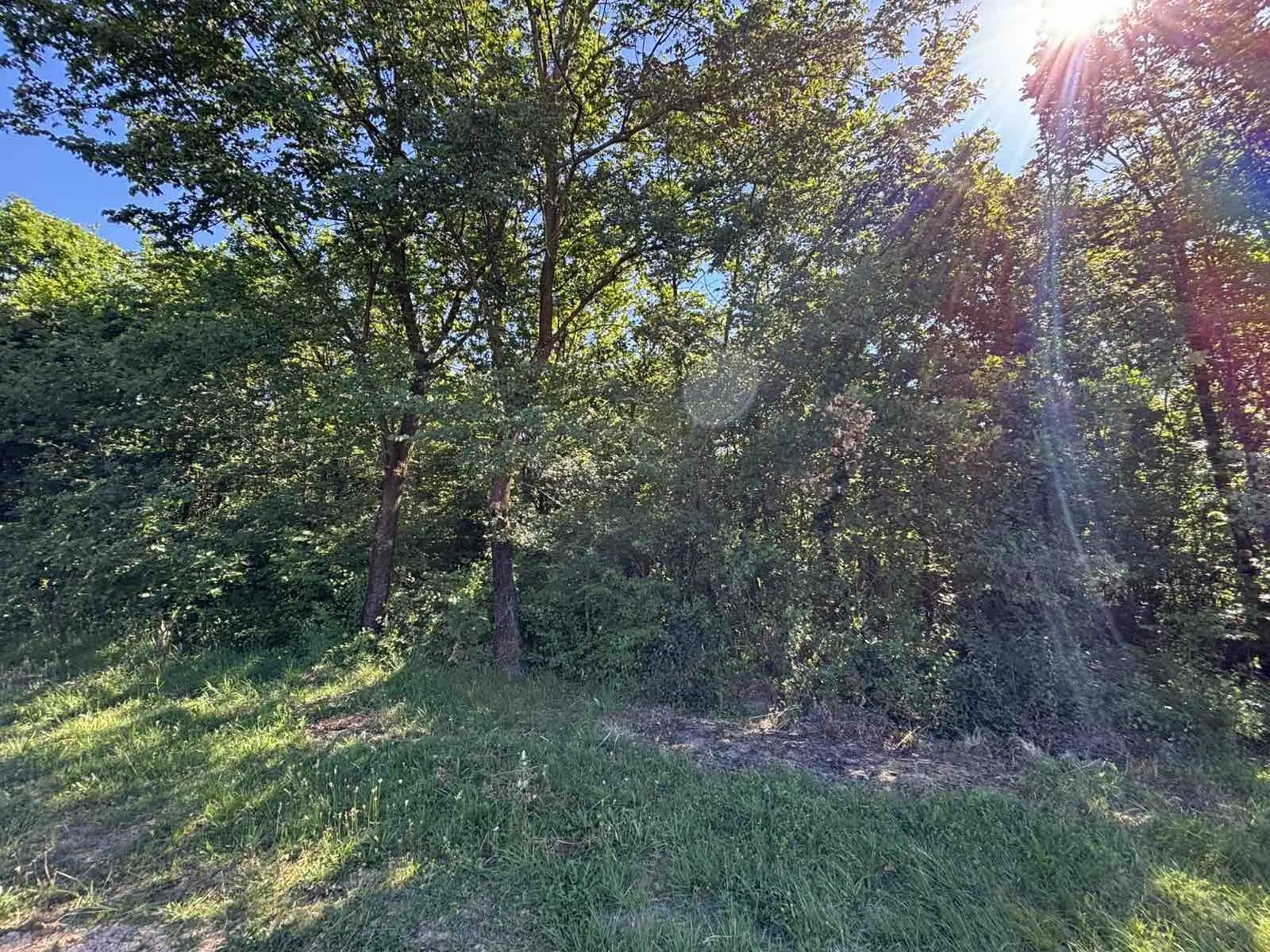 Plac 2.386 m² – Kosić, Danilovgrad — fotografija 3