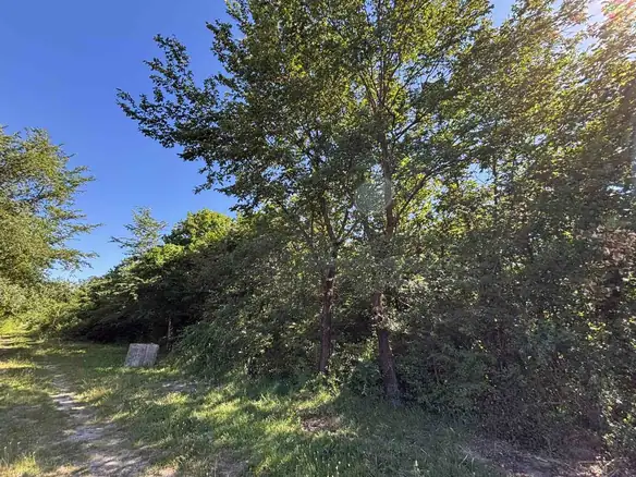 Plac 2.386 m² – Kosić, Danilovgrad — fotografija 4
