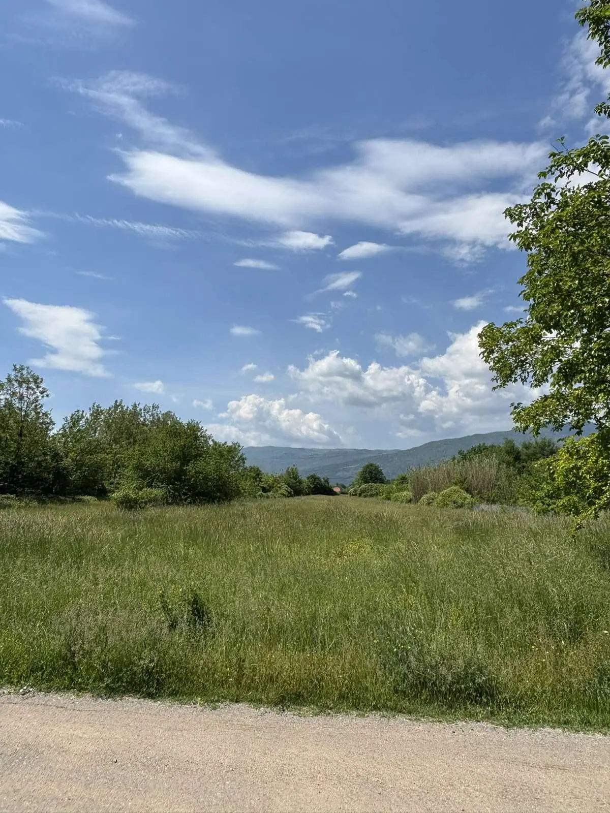 Plac 8.384 m² – Kosić, Danilovgrad — fotografija 2