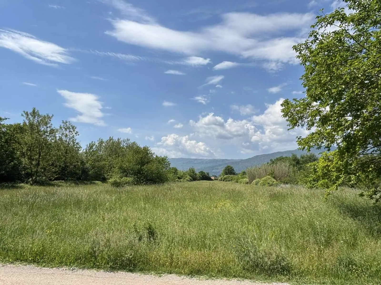 Plac 8.384 m² – Kosić, Danilovgrad — fotografija 5