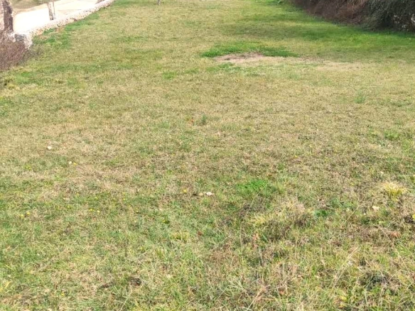 Plac 1.269 m² – Rogami, Podgorica — fotografija 2