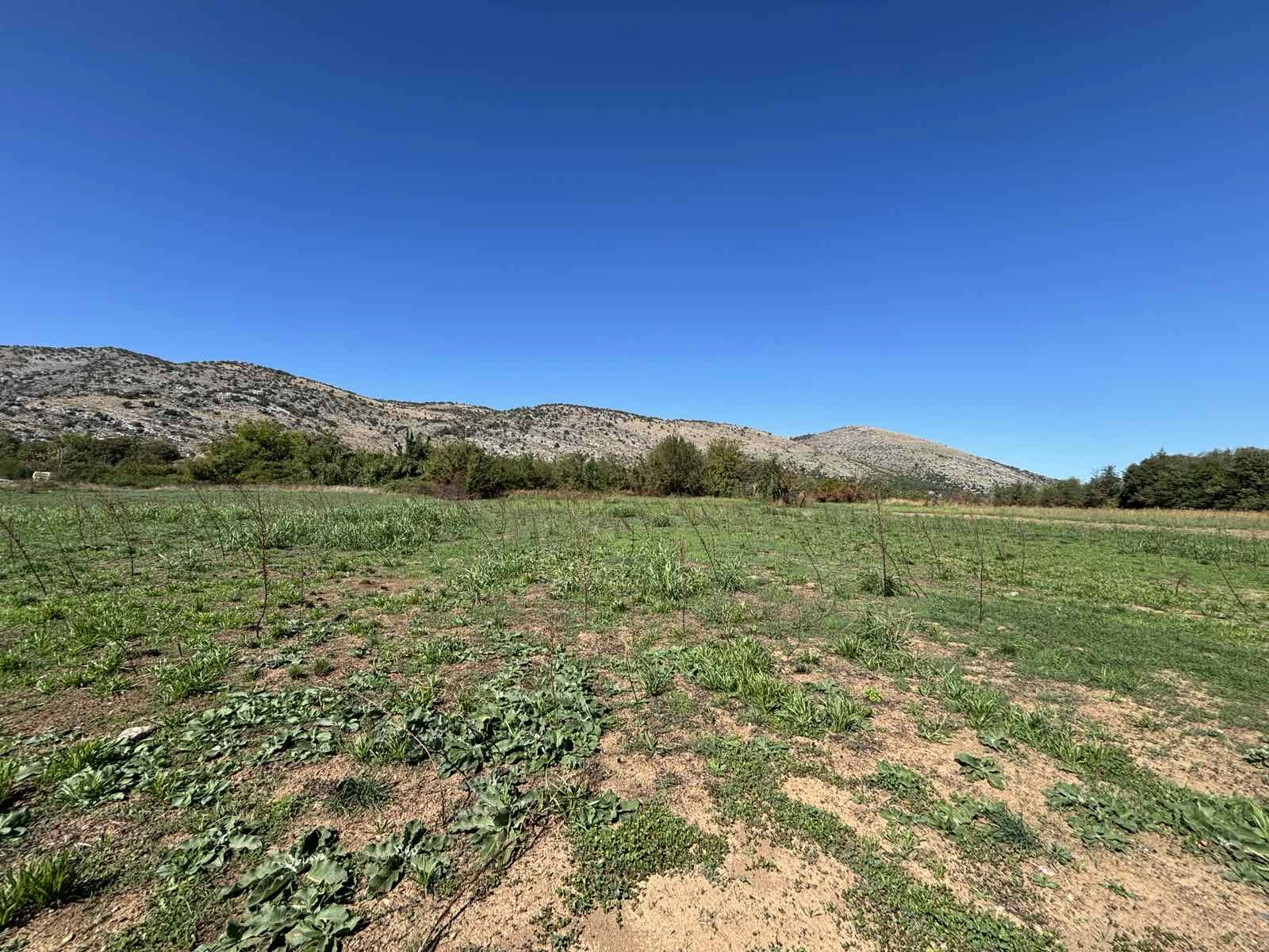 Plac-uz-Moracu-Podgorica-1 Plac 9.569 m² – Podgorica — fotografija 2