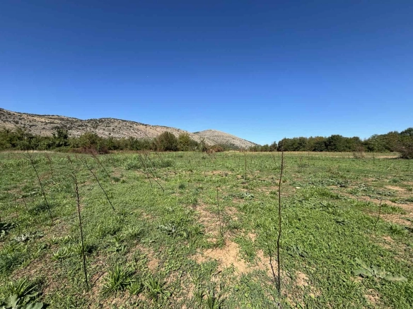 Plac 9.569 m² – Podgorica — fotografija 6