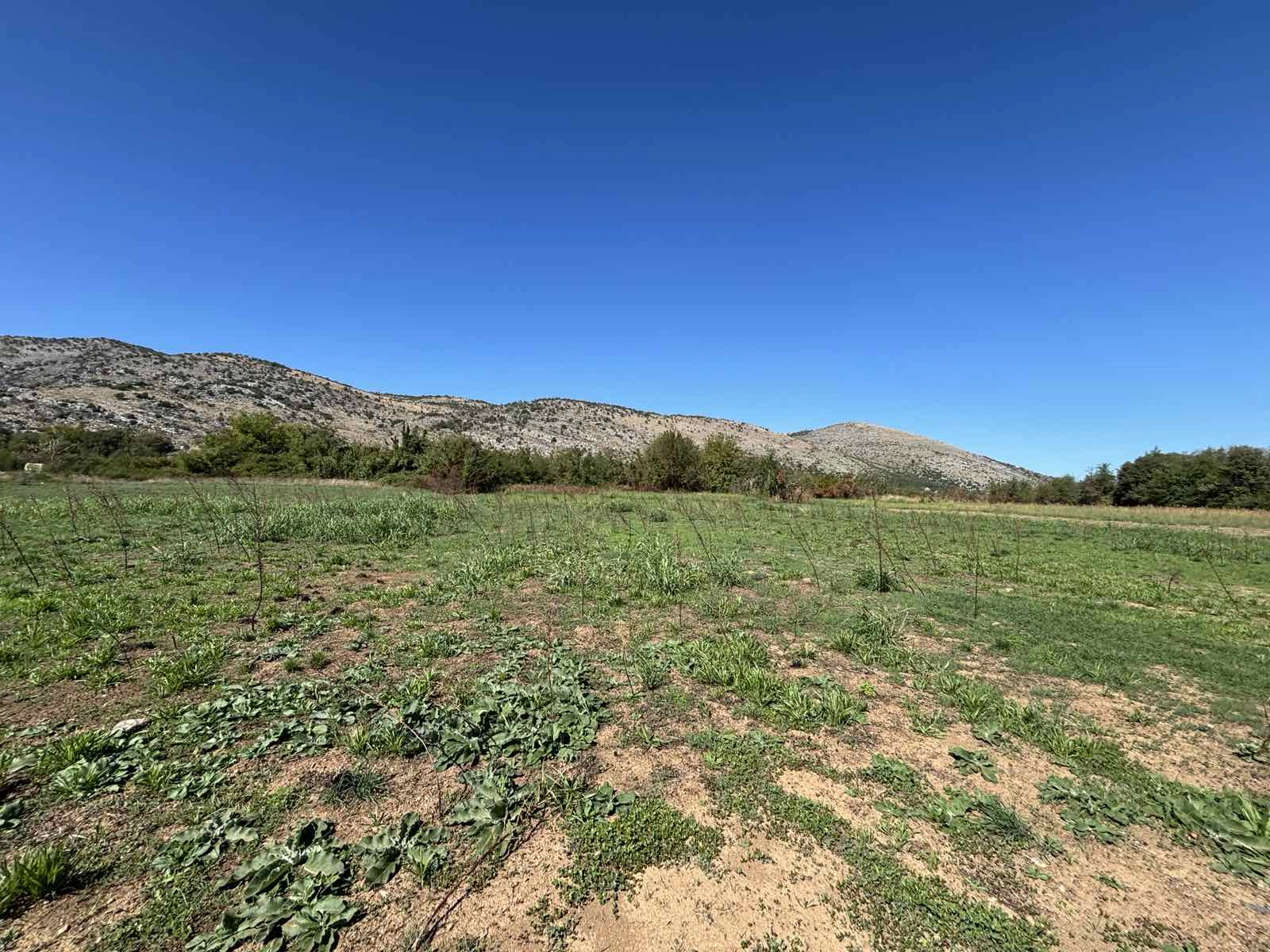 Plac-uz-Moracu-Podgorica-6 Plac 9.569 m² – Podgorica — fotografija 7