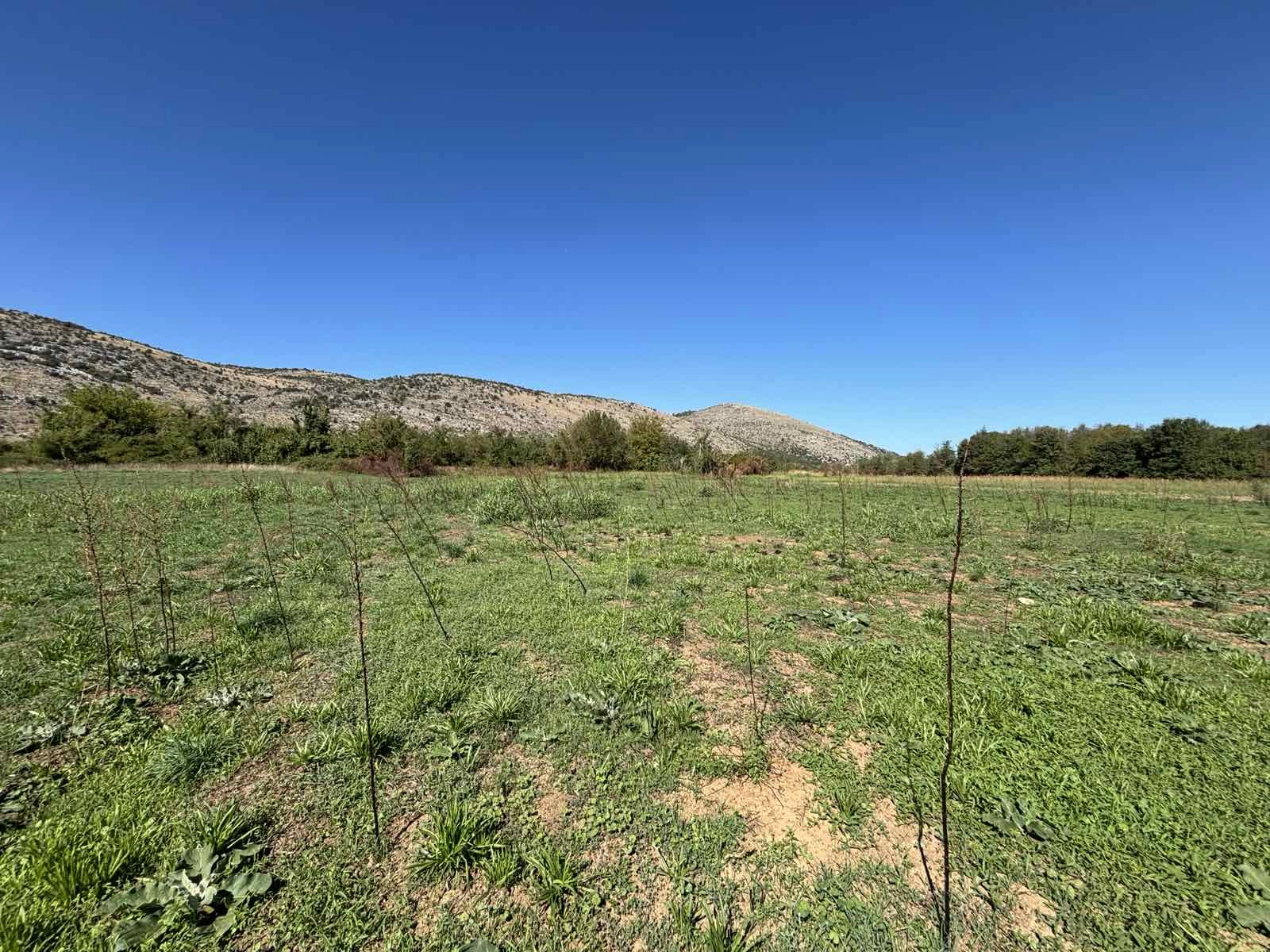 Plac-uz-Moracu-Podgorica-7 Plac 9.569 m² – Podgorica — fotografija 8