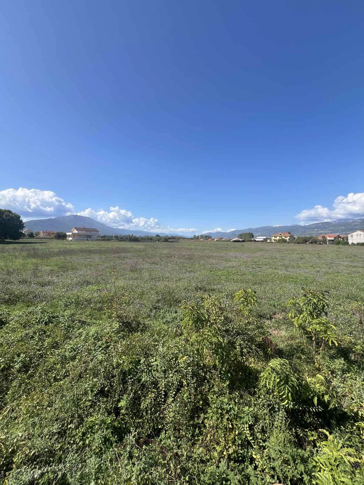 Plac-od-7430-m²-u-Spuzu-Danilovgrad-2 Plac 7.430 m² – Spuž, Danilovgrad — fotografija 3