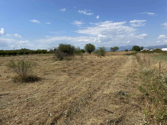 Plac 6.000 m² – Zeta, Podgorica — fotografija 3