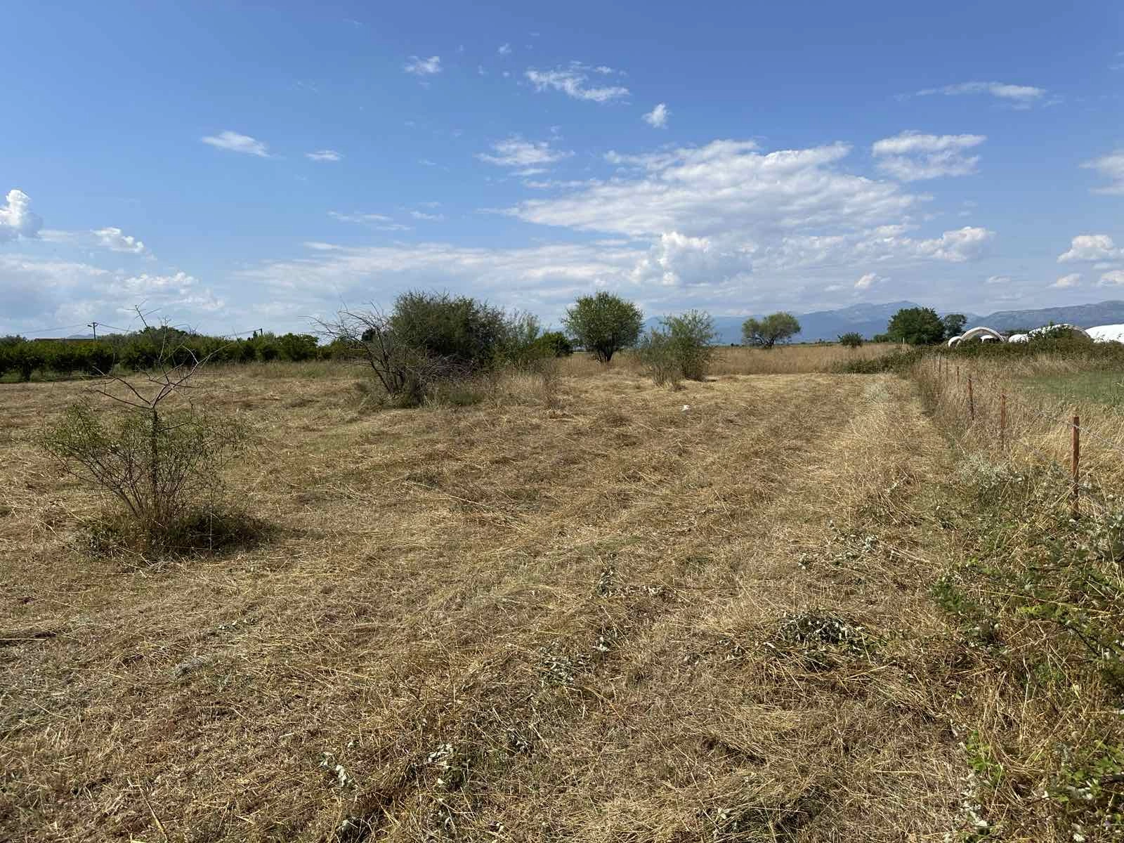 Plac-od-6000-m²-u-Zeti-Podgorica-2 Plac 6.000 m² – Zeta, Podgorica — fotografija 3