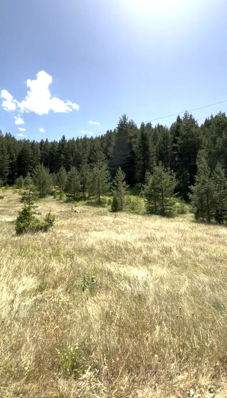 Plac od 1485 m² na Žabljaku
