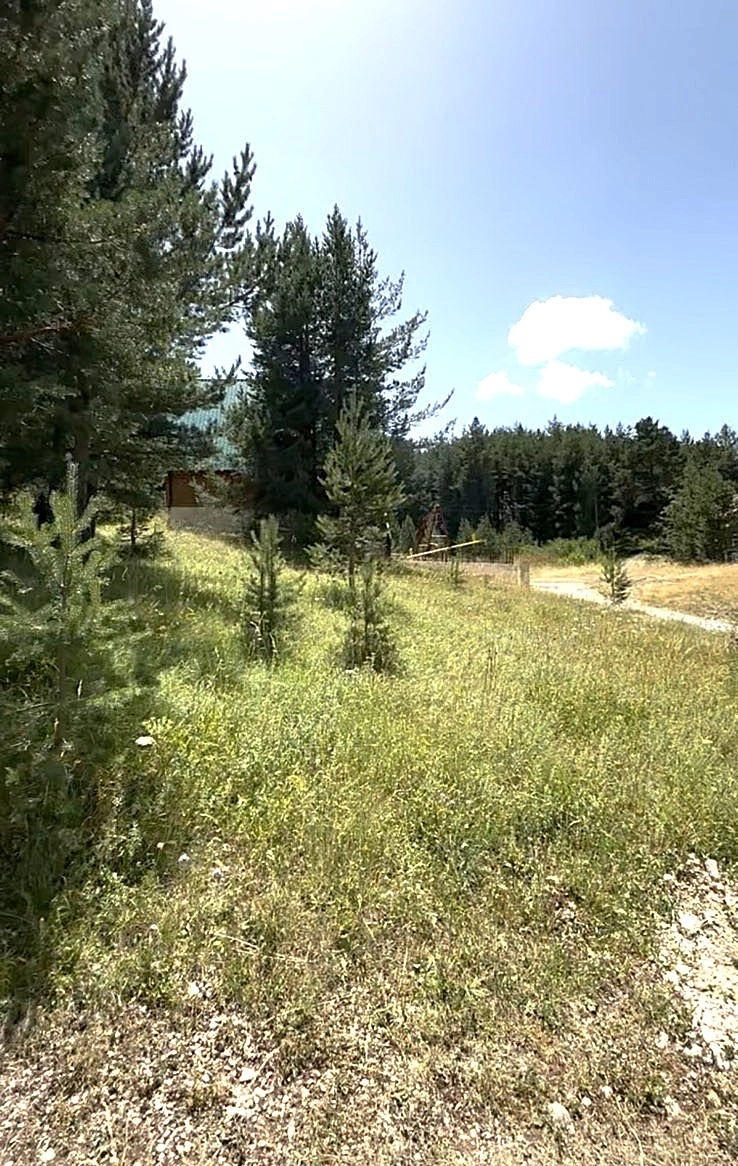 Plac 1.485 m² – Žabljak — fotografija 5