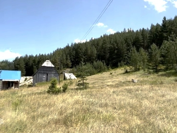 Plac sa šumom u Borju