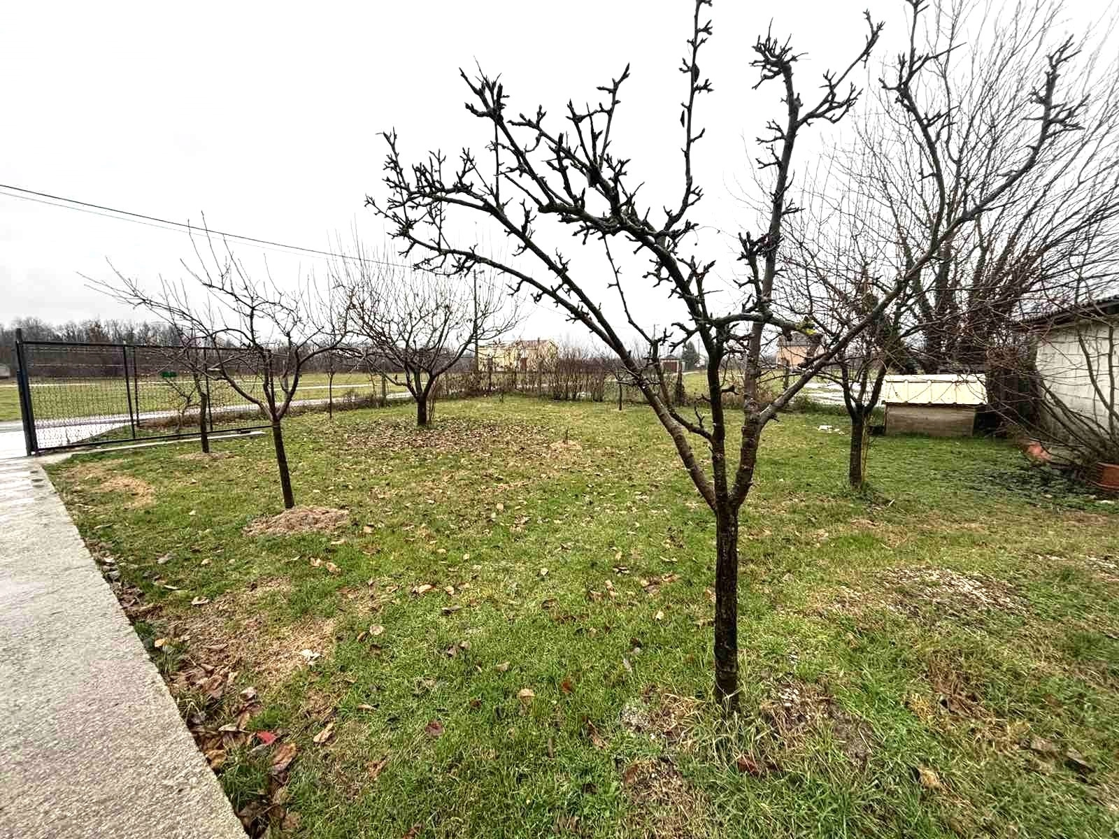 Kuca-sa-imanjem-u-Danilovgradu-1 Kuća 120 m² – Danilovgrad — fotografija 2
