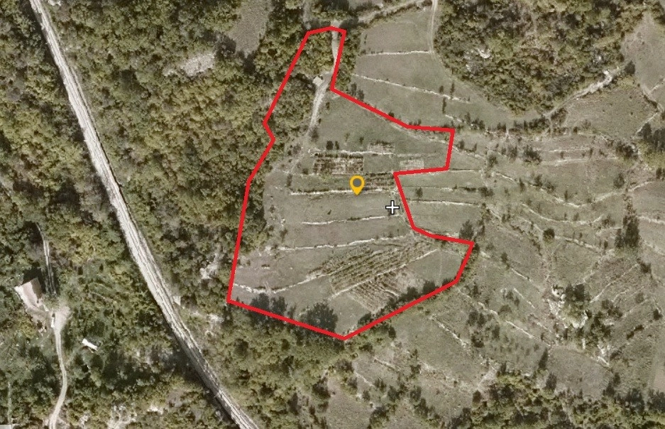 Imanje-sa-vinogradom-Zabjelo-Podgorica-3 Plac 10.429 m² – Zabjelo, Podgorica — fotografija 4