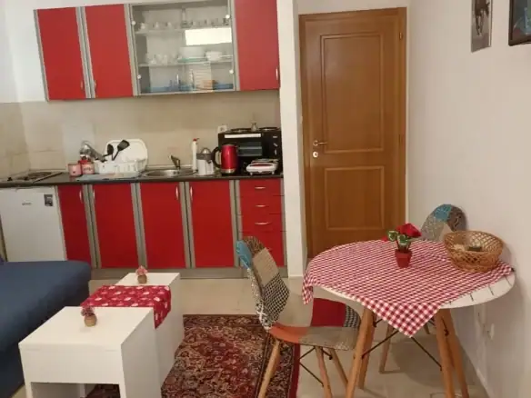 Garsonjera u Rozinu, Budva — fotografija 6