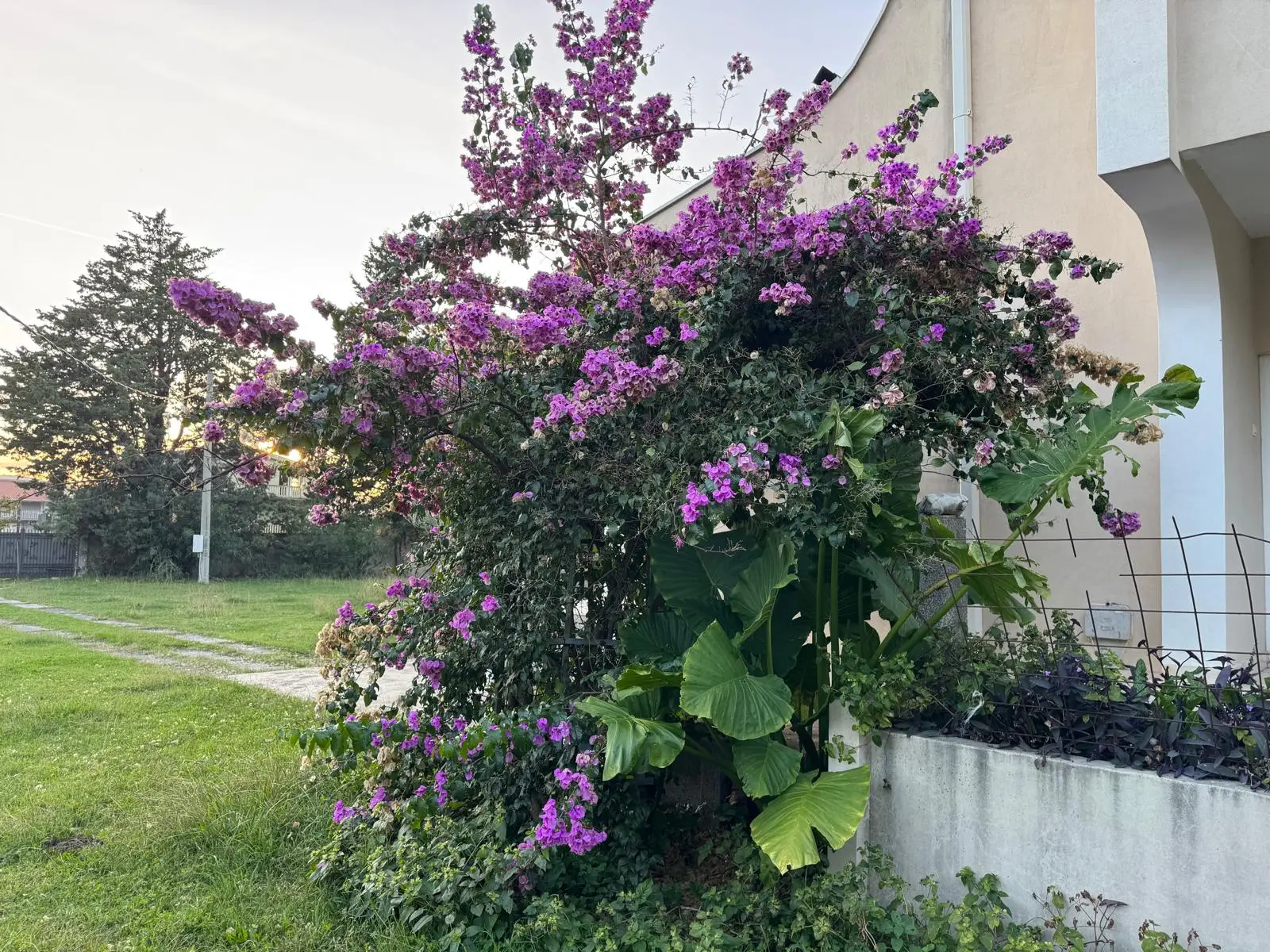 Urbanizovan-plac-u-naselju-Celuga-Bar-2 Plac – Čeluga, Bar — fotografija 3