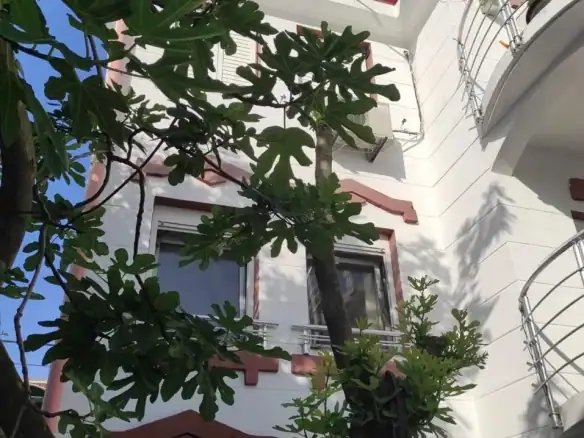 Kuća 387 m² – Đuraševići, Tivat — fotografija 7