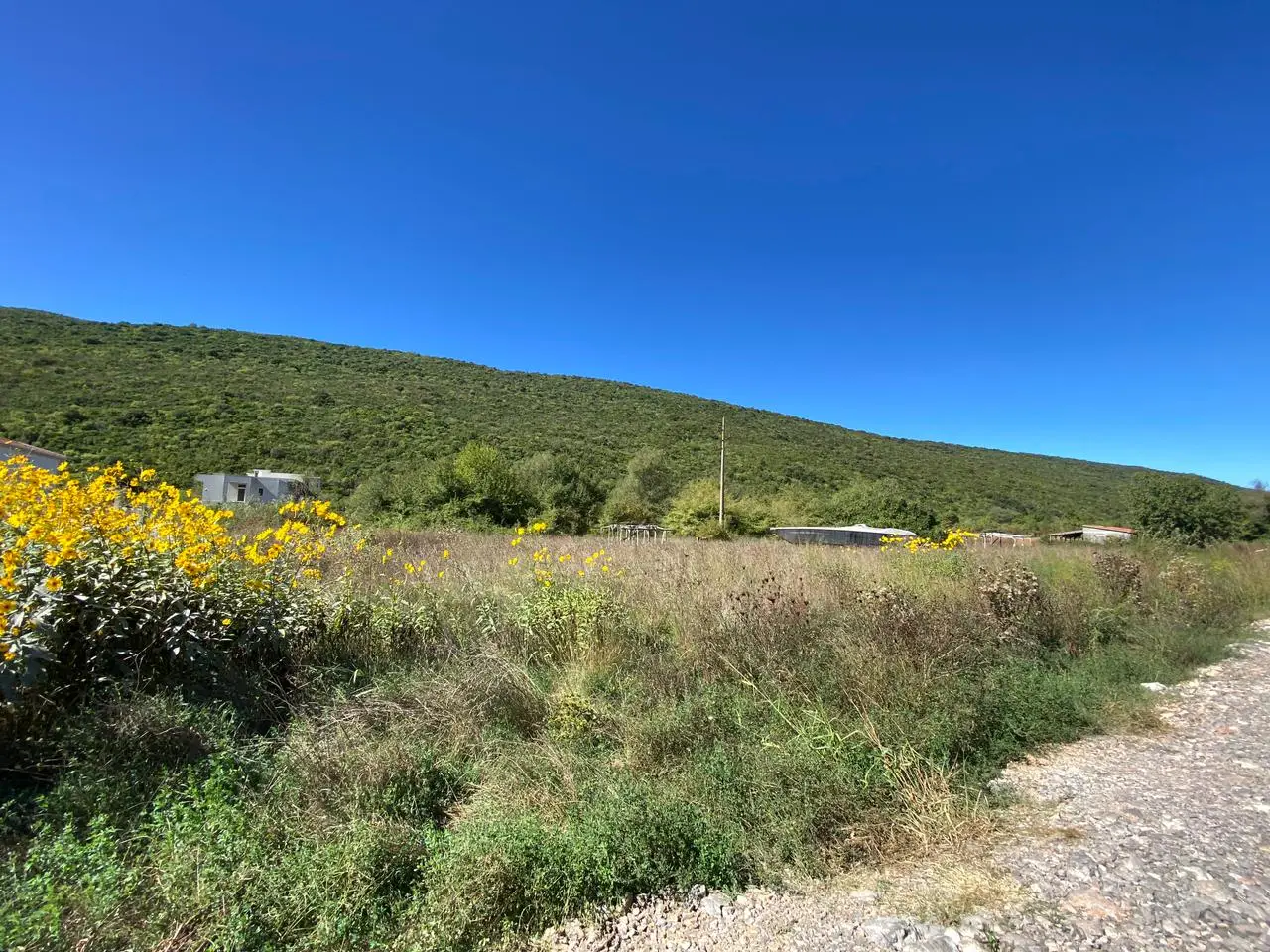 Plac – Radanovići, Kotor — fotografija 3