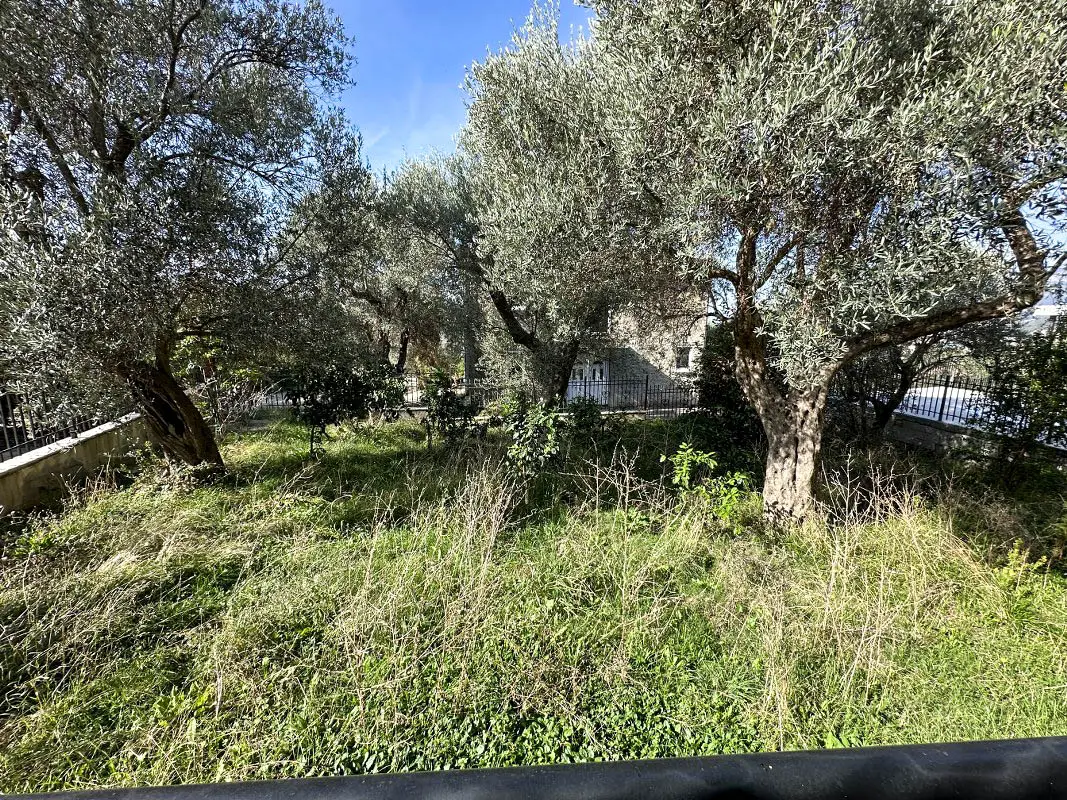 Kuca-u-maslinjaku-na-lokaciji-Mirovica-Bar-1 Kuća 220 m² – Bar — fotografija 2