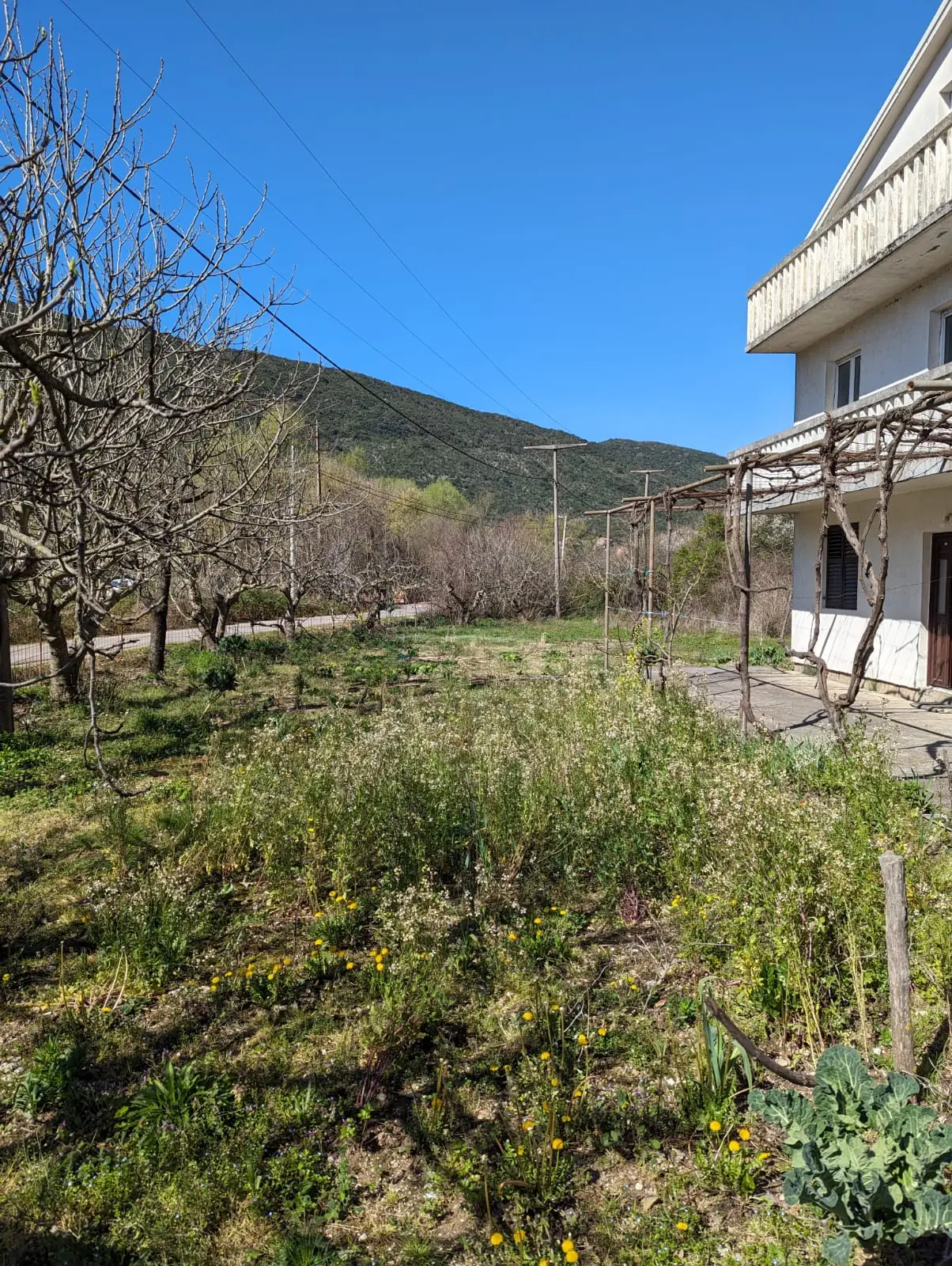 Kuća 240 m² – Lastva Grbaljska, Kotor — fotografija 8