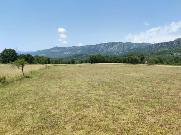 Plac – Podgorica — fotografija 3