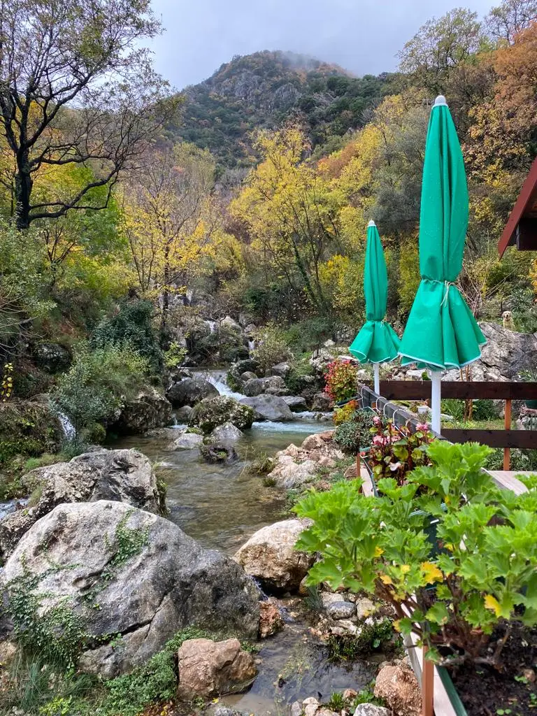 Etno-kuca-na-placu-u-selu-Krapina-Budva-3 Kuća 50 m² – Budva — fotografija 4