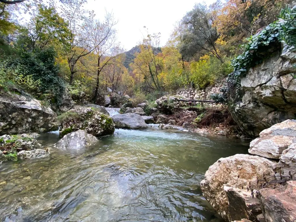 Etno-kuca-na-placu-u-selu-Krapina-Budva-6 Kuća 50 m² – Budva — fotografija 7