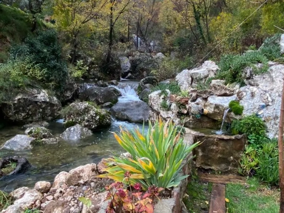 Kuća 50 m² – Budva — fotografija 8