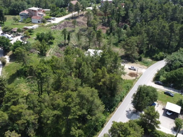 Plac – Tivat — fotografija 3
